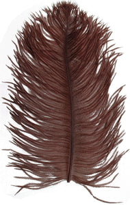 Ostrich Plumes - Brown