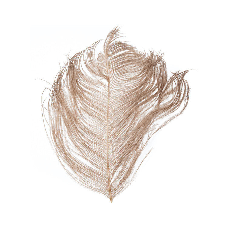 Ostrich Plumes - Tan