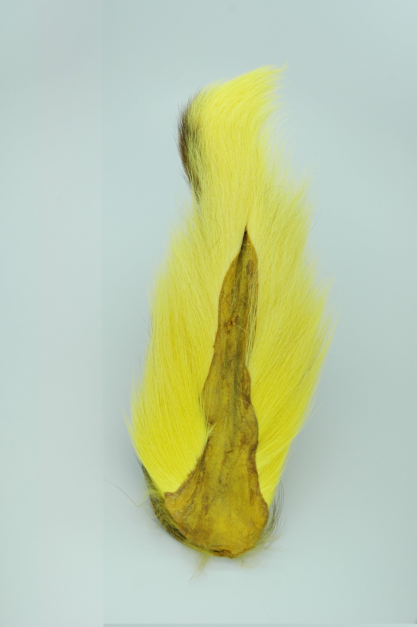 Bucktail Large - Lemon