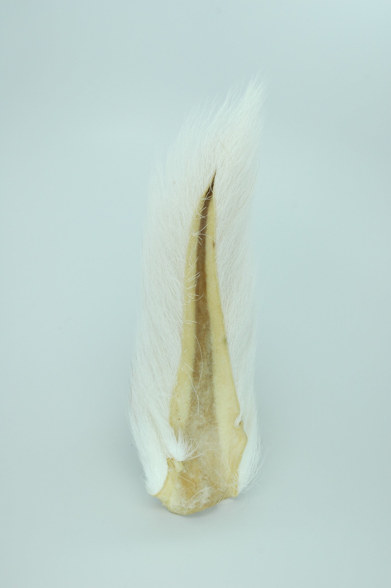 Bucktail Medium - White