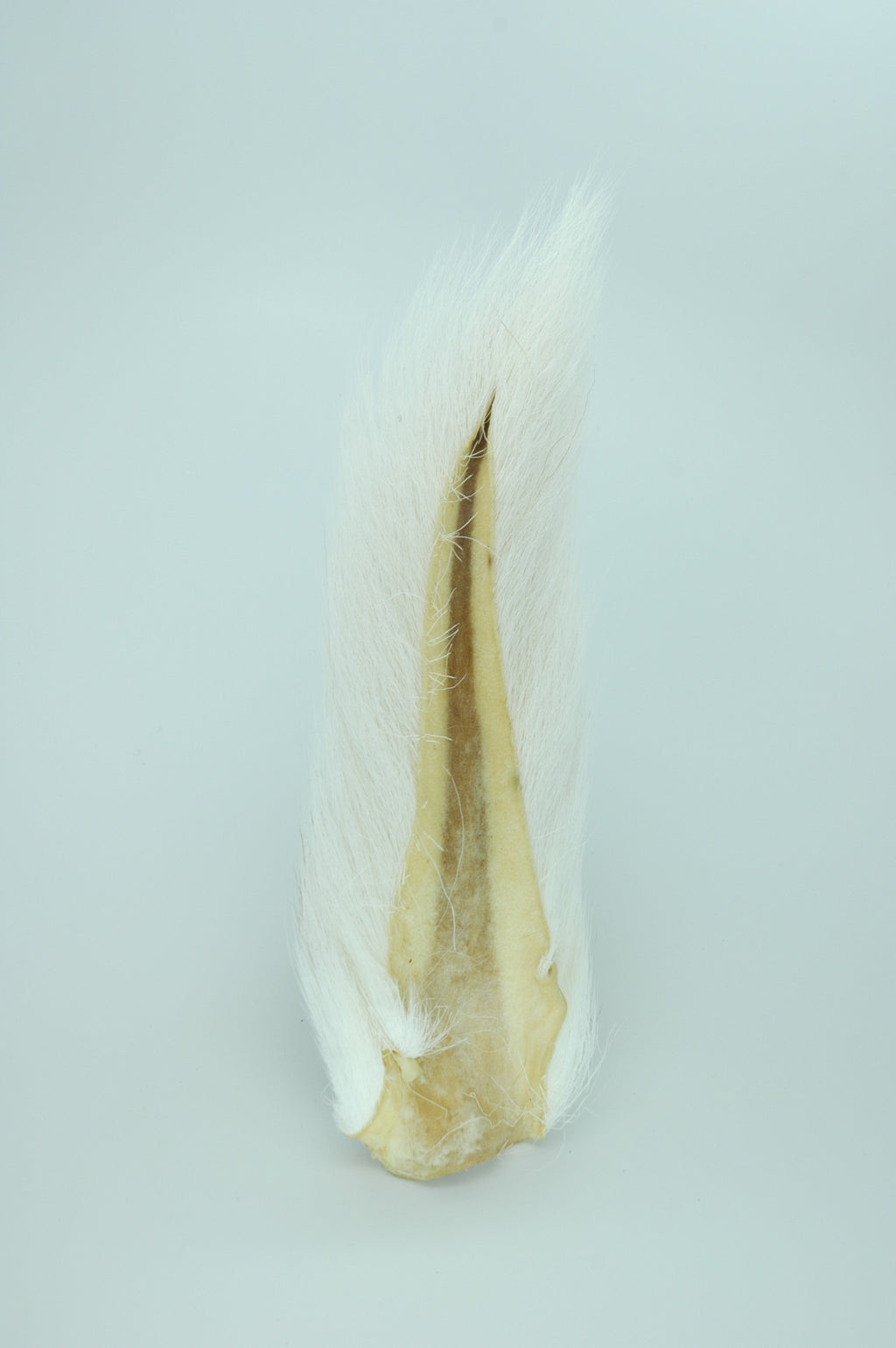 Bucktail Medium - White