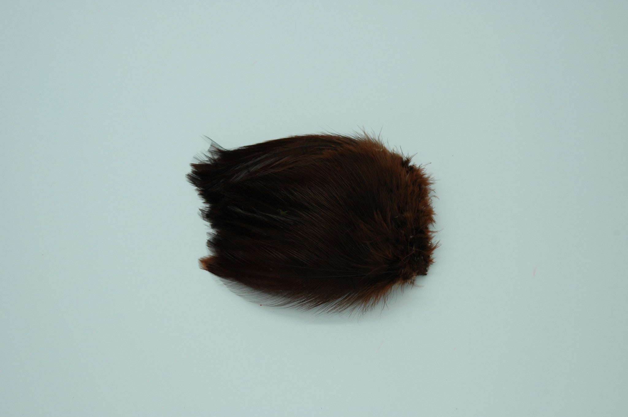 Neck Hackle Strung - Brown