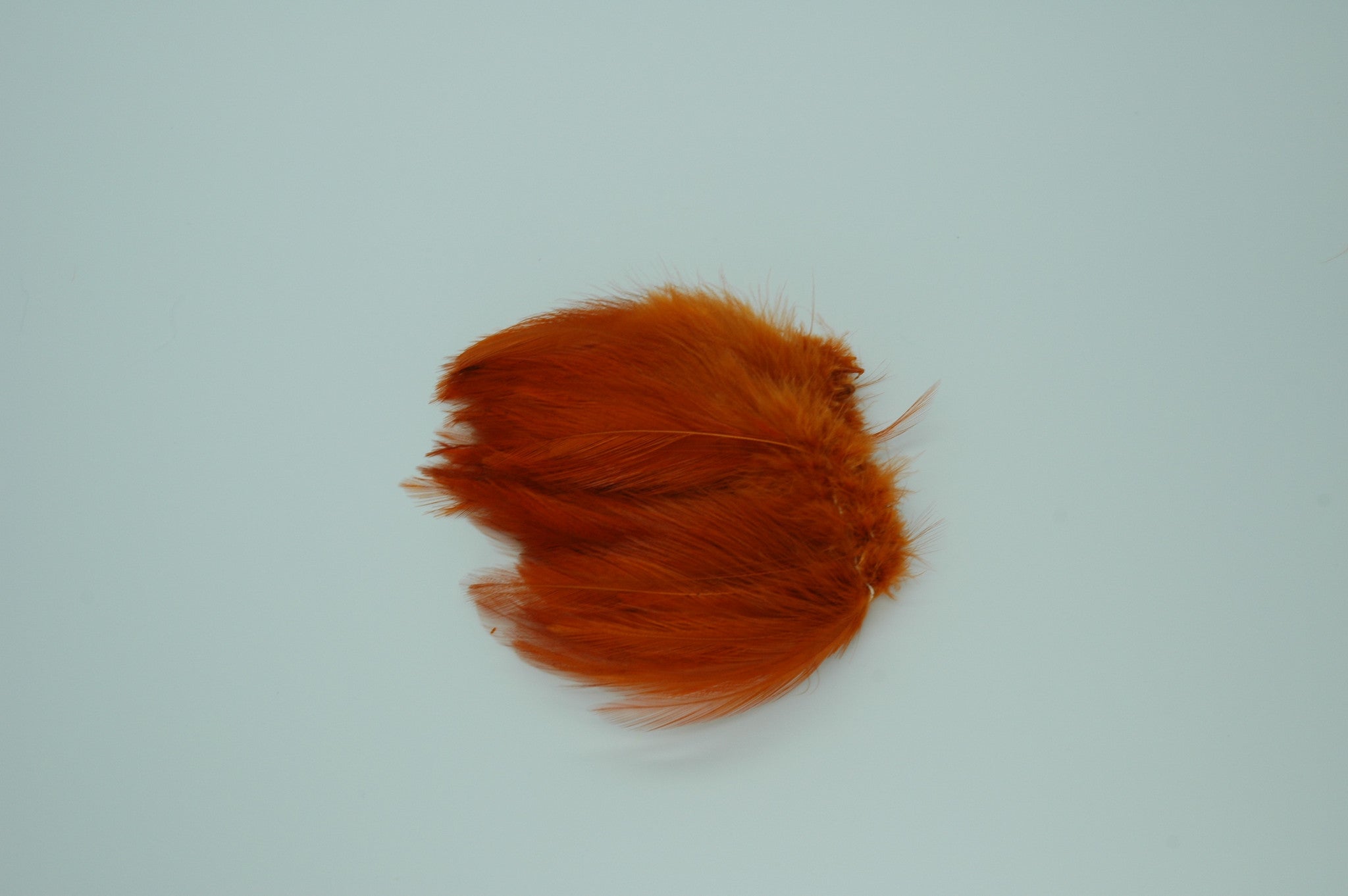 Neck Hackle Strung - Burnt Orange