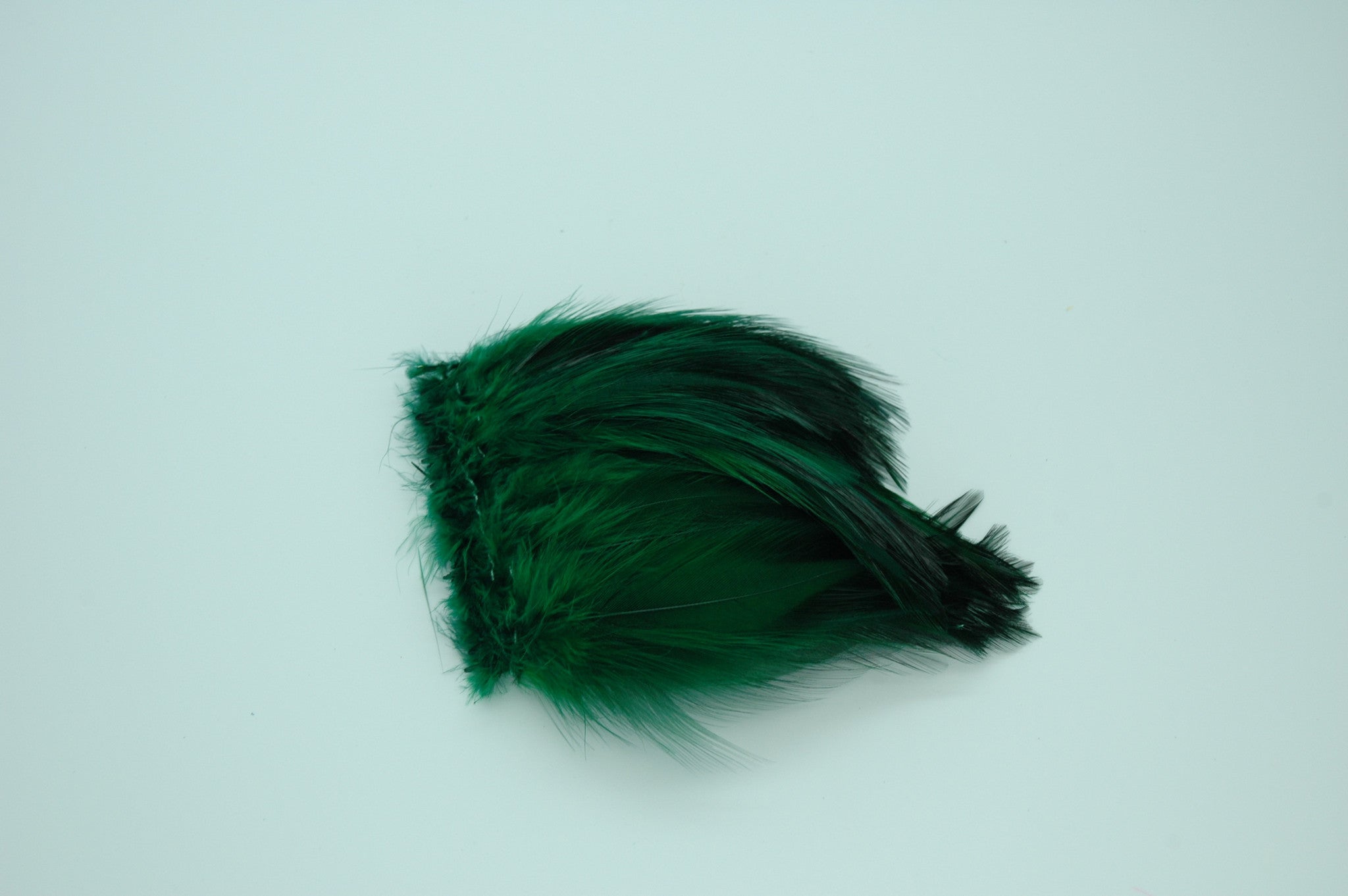 Neck Hackle Strung - Green