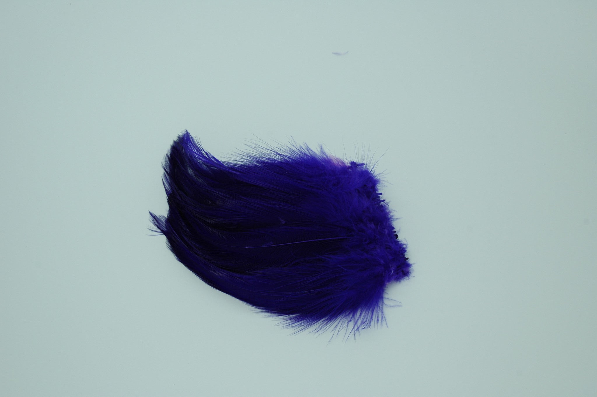 Neck Hackle Strung - Purple