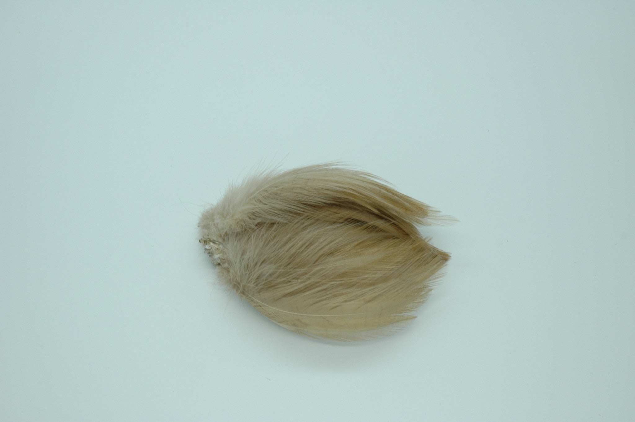 Neck Hackle Strung - Tan