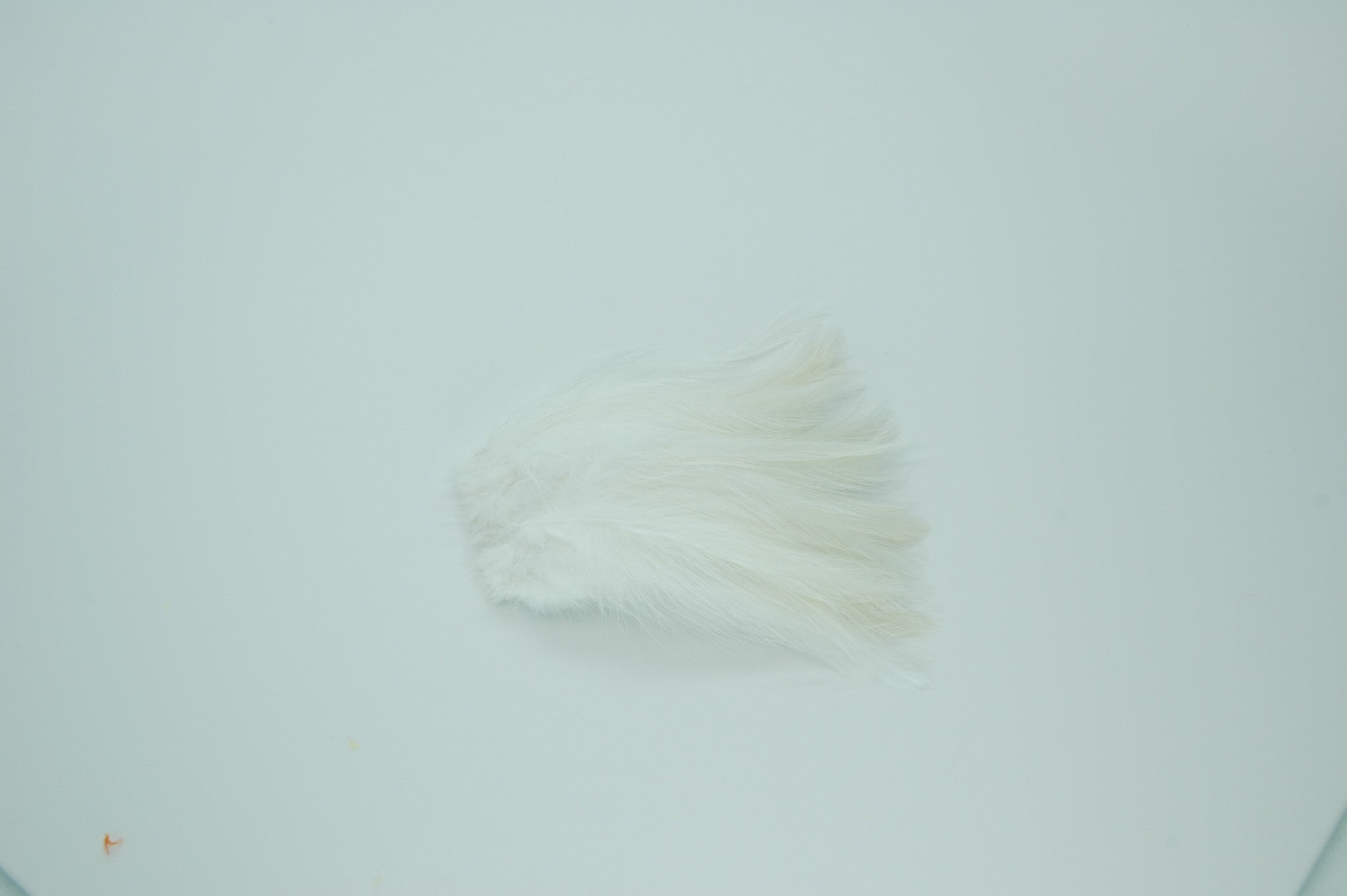 Neck Hackle Strung - White