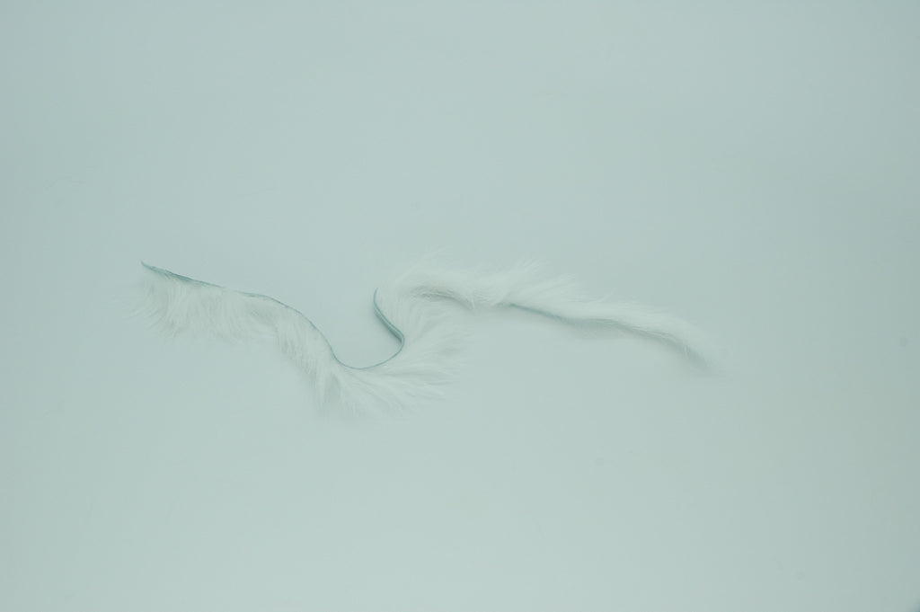 Rabbit Zonkers - White